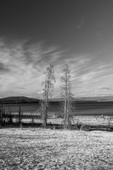 DSCF0841