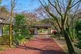 DSCF0315