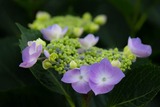 DSCF0310-2