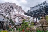 園明寺（２）