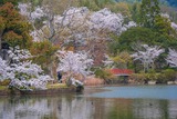 DSCF0140