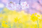 山の手さくらまつり(7)