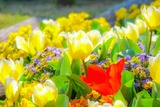 DSCF0291
