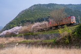 トロッコ列車の旅(2)