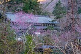 DSCF0010