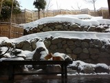 20140127_080111