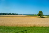 DSCF0183