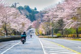 DSCF0235