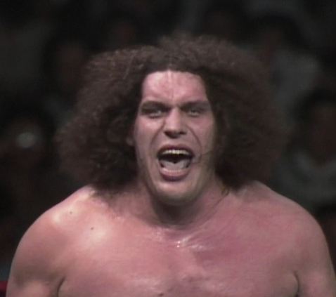 レスラーの食事ってどれくらい食べるの プロレスマニア必見 びっしびし速報 マニア話 レスラーの食事ってどれくらい食べるの プロレスマニア必見 びっしびし速報 マニア話