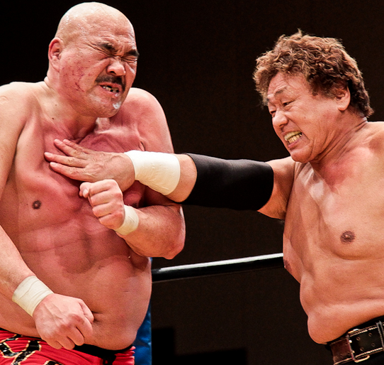 安田忠雄のムチャクチャぶり プロレスマニア必見 びっしびし速報 マニア話 安田忠雄のムチャクチャぶり プロレスマニア必見 びっしびし速報 マニア話