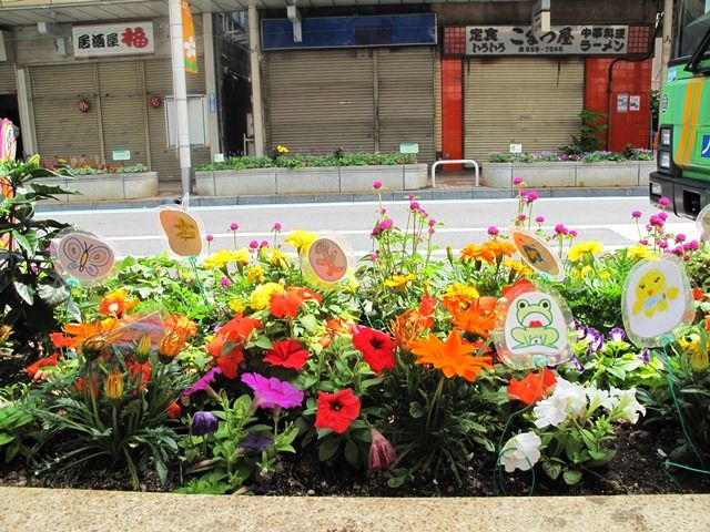 小岩フラワーロードの花壇コンクール デジカメ日記