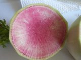 蒼い大根
