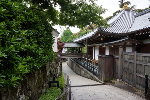 DSC02585
