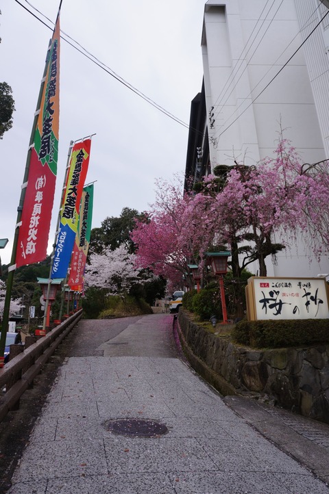 DSC02485