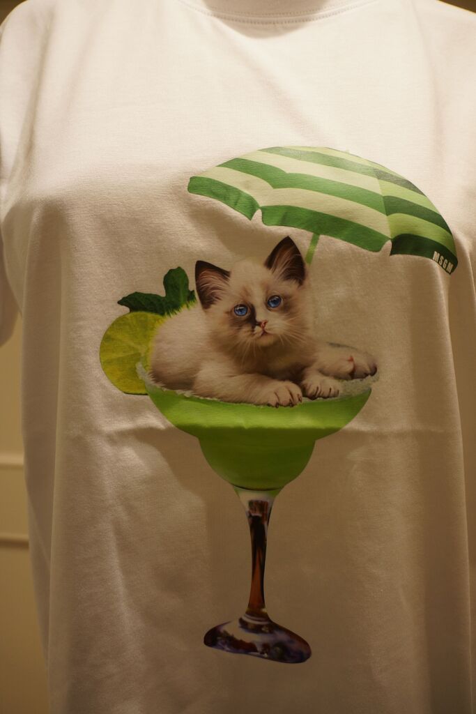 (SALE)( エムエスジーエム)【猫がかわいいシャツ】 MSGM(エムエスジーエム)CATモチーフTシャツ : mode shop