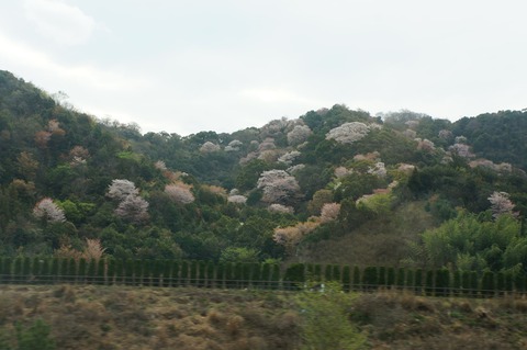 DSC02471