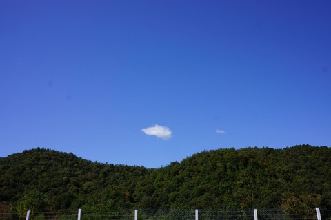 DSC07029