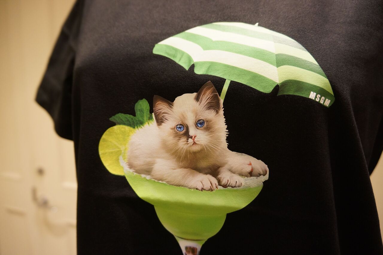 MSGM（エムエスジーエム）CATモチーフTシャツ : mode shop