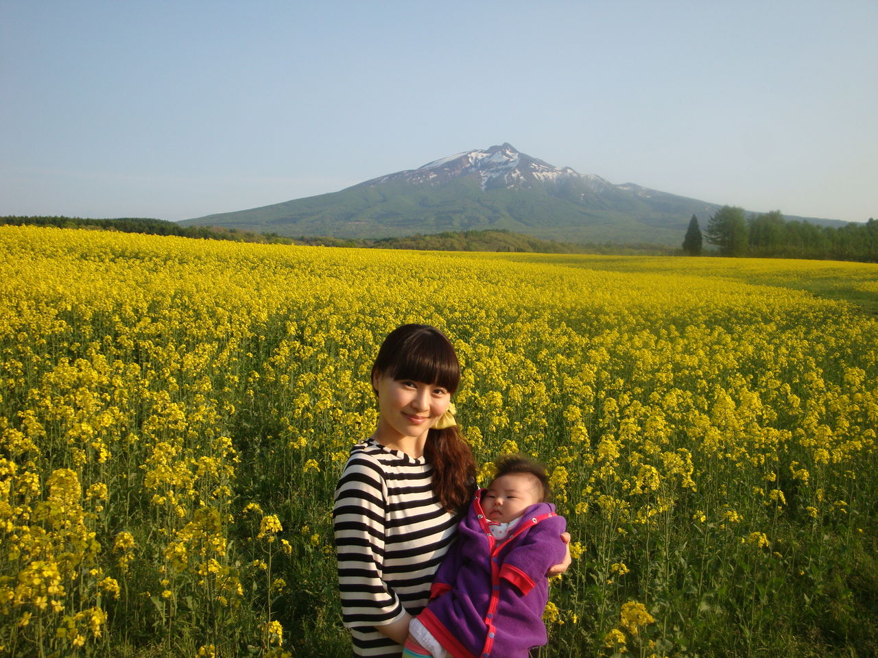動画でご紹介 青森の 旬の見頃 菜の花 りんごの花 o プレスルームからのお知らせ 株式会社杉澤興業 動画でご紹介 青森の 旬の見頃 菜の花 りんごの花 o プレスルームからのお知らせ 株式会社杉澤興業