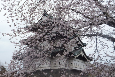 DSCF4410