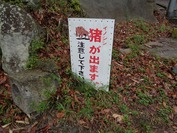 DSC09285