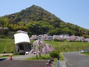DSC07930