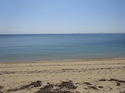 DSC07950