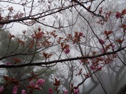 DSC09199