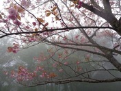 DSC09200