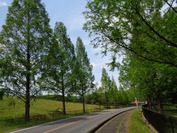 K-DSC09658 (1)