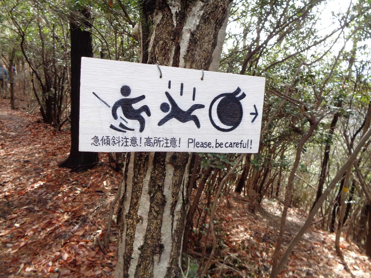 アートな山の標識 ある田舎のオッサンのブログ アートな山の標識 ある田舎のオッサンのブログ