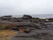 DSC08658