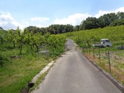 D-DSC09561 (1)