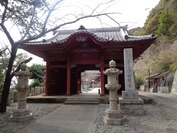 DSC08555