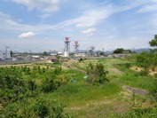 F-DSC09599 (2)
