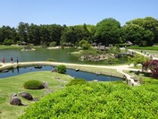 DSC08645