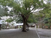 DSC08634