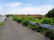 B-DSC09525 (1)
