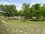 J-DSC09643 (1)