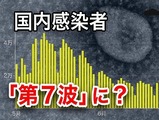 kolona_kansen_dai_7ha_image