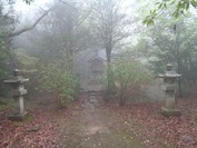 DSC09239