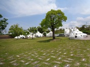 J-DSC09643 (2)