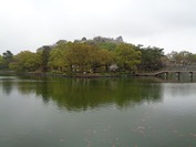 DSC09128