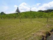 D-DSC09561 (2)