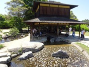 DSC08654