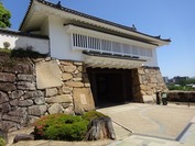 DSC08681