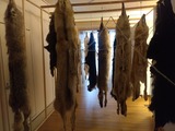 IMG_20220803_105751