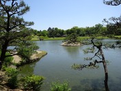 DSC08639