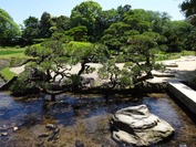 DSC08656