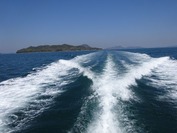 DSC07903
